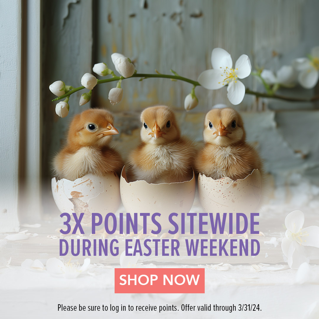Easter Weekend - 3X points 